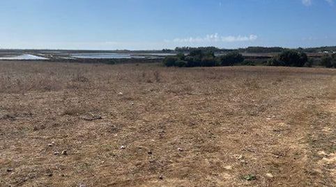 Finca Rúst. en venta en Manzanete., imatge 2