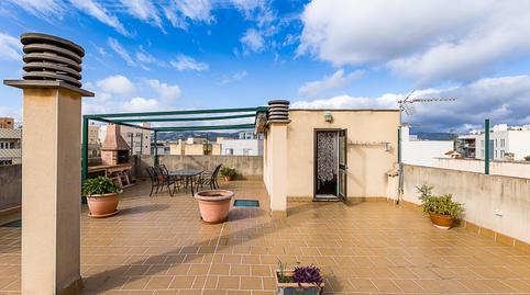 Foto 5 von Dachboden zum Verkauf in El Secar de la Real,  Palma de Mallorca