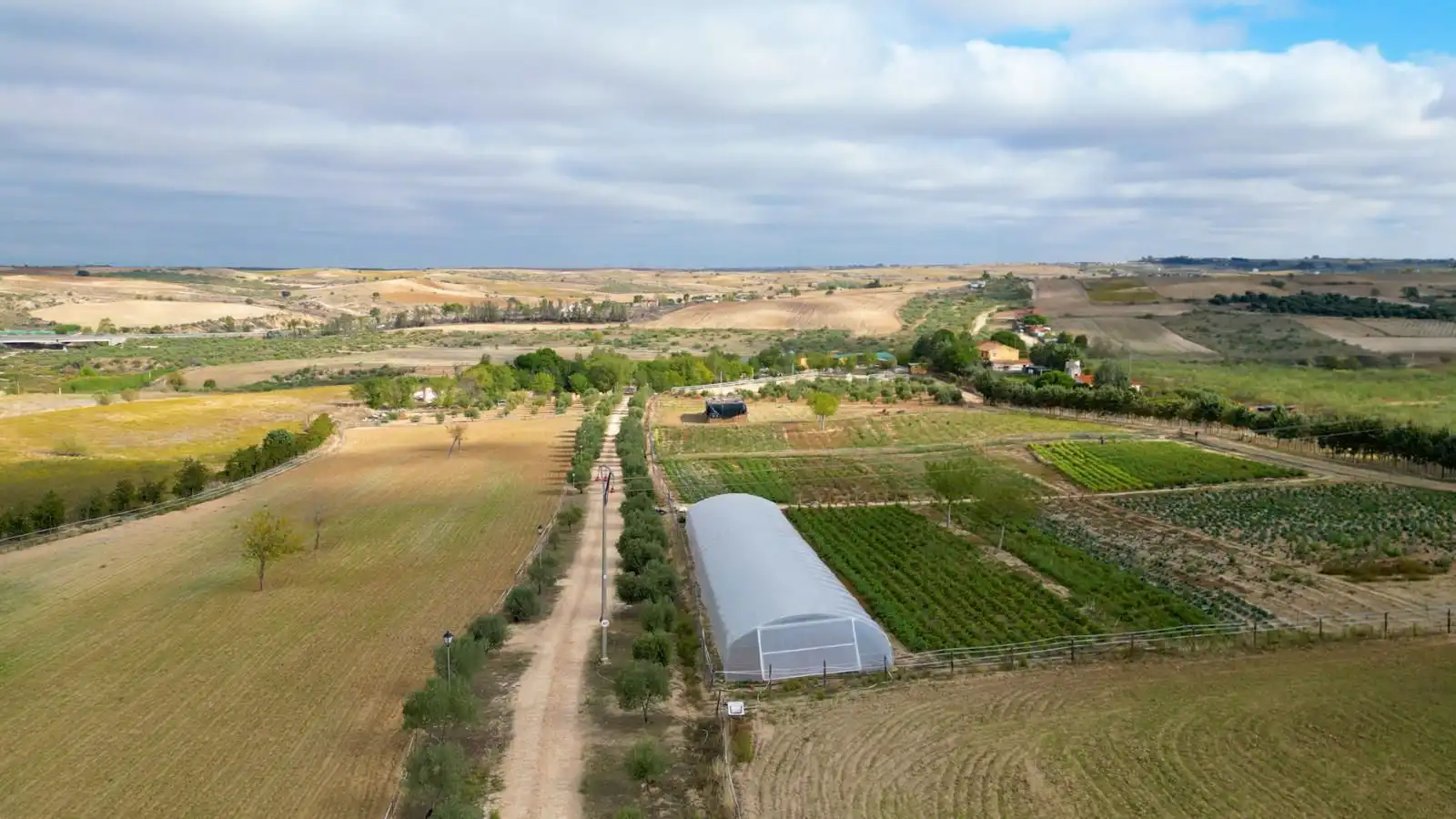 Grundstücke zum Verkauf in Olivares, Batres