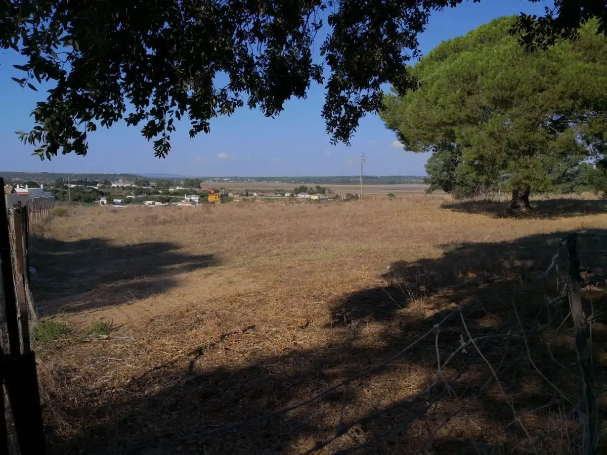 Terreno rustico in vendita a Barbate ciudad