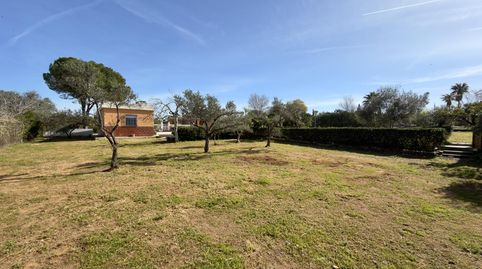 Photo 4 of Country homes for sale in Venus, Oromana, Alcalá de Guadaira