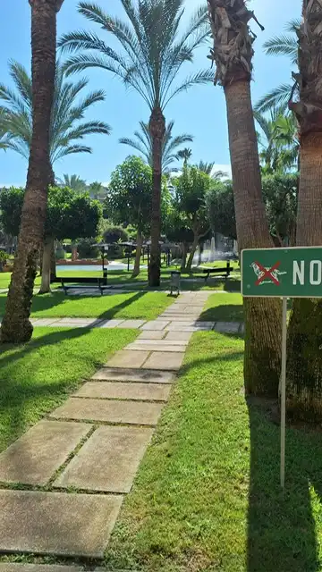 Piso de alquiler en Avenida Historiador Vicente Ramos, Playa de San Juan