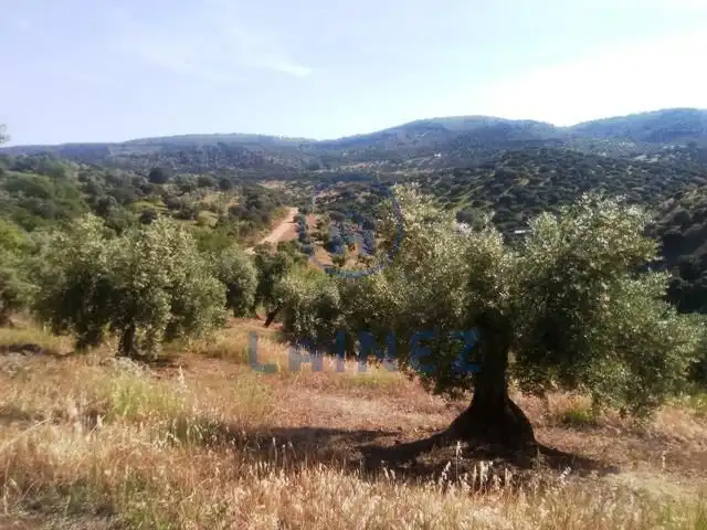 Residential land for sale in Espiel, imagen 6