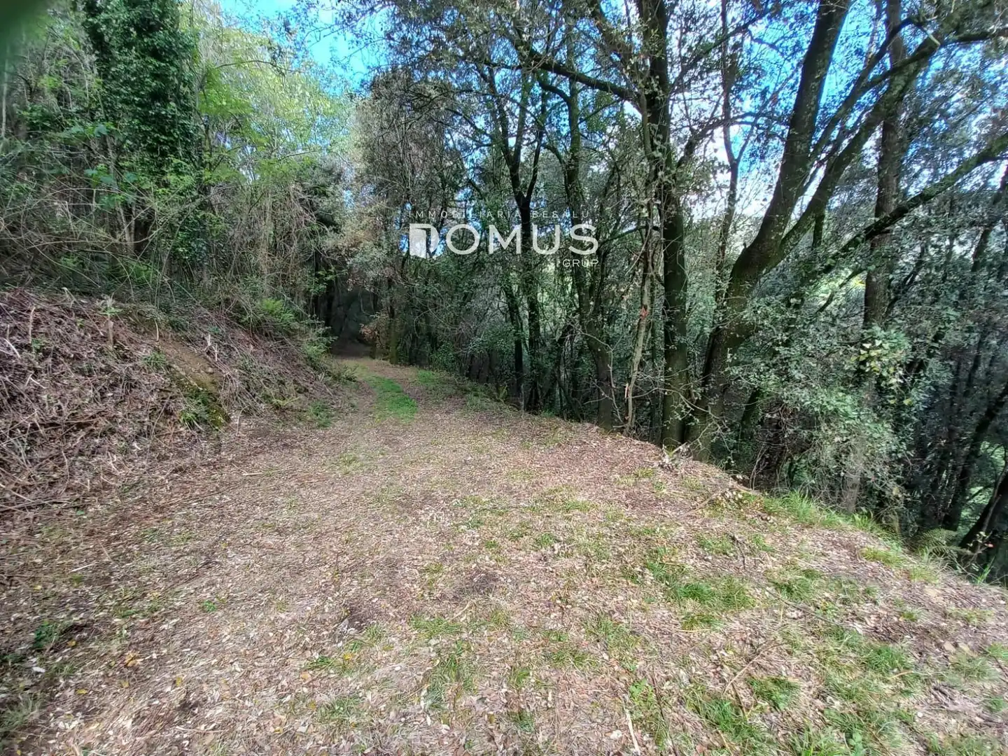 Finca rústica en venta en Sant Joan Les Fonts