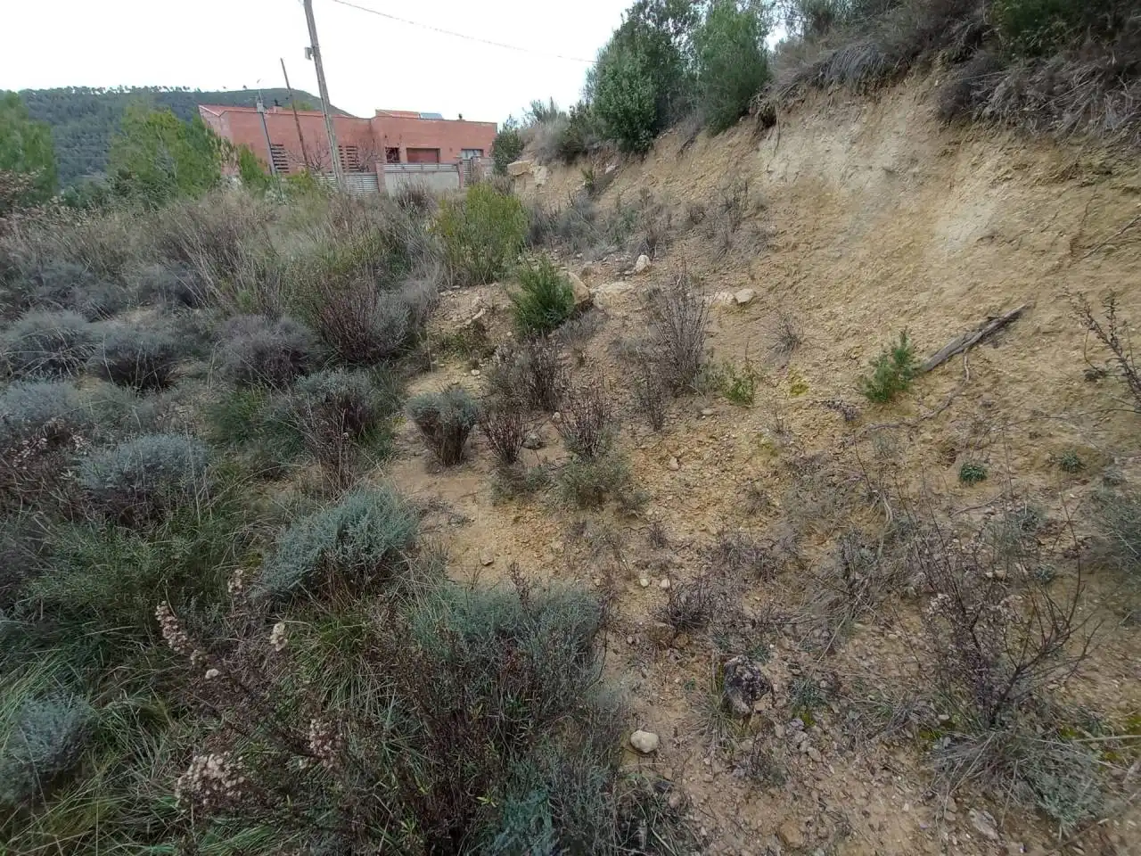 Terreny rústic en venda a Castellbell i el Vilar, imagen 10