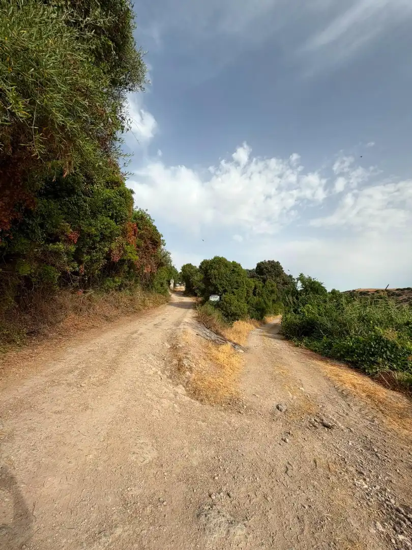 Rural land for sale in Morón de la Frontera, imagen 3