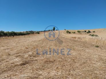 Terreni e lotti in vendita a Fuente Obejuna