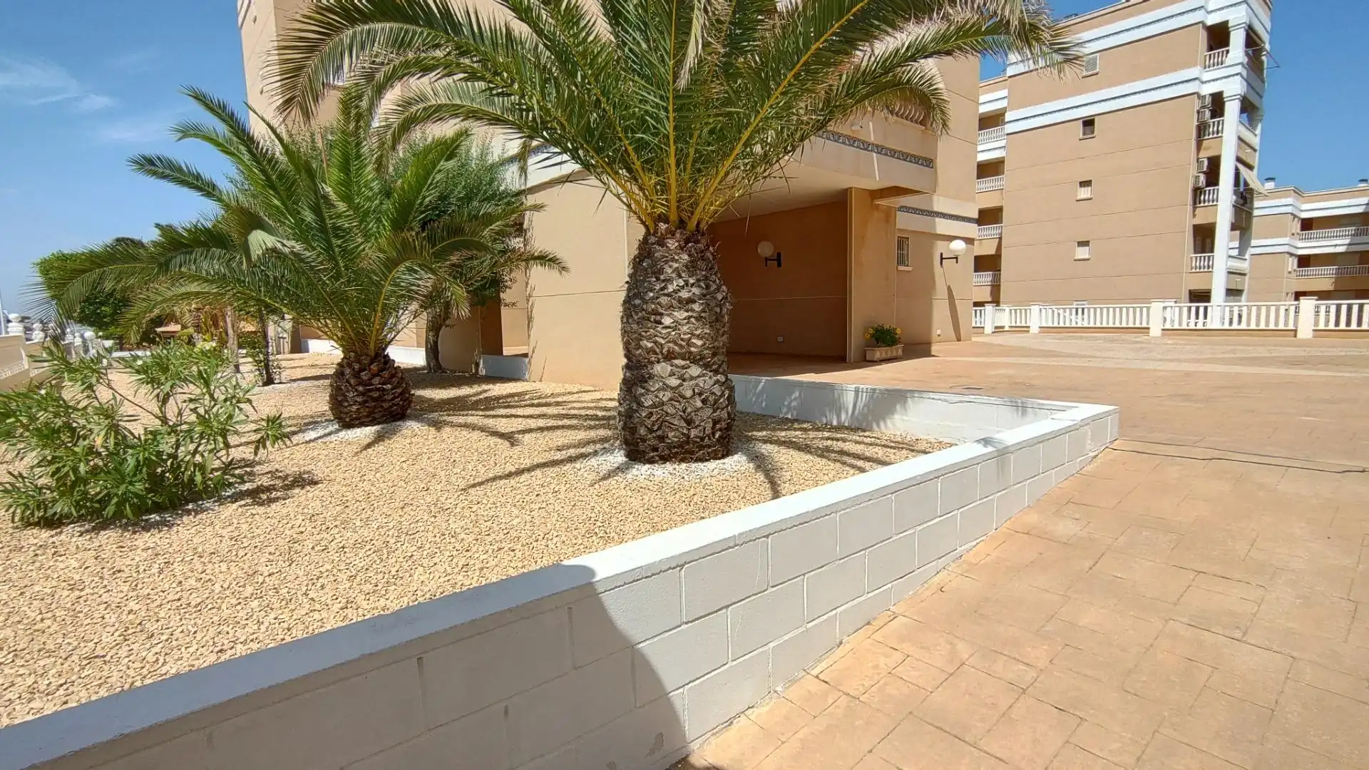 Exterior view of Apartments for sale in Elche / Elx  with Private garden, Terrace and Storage room