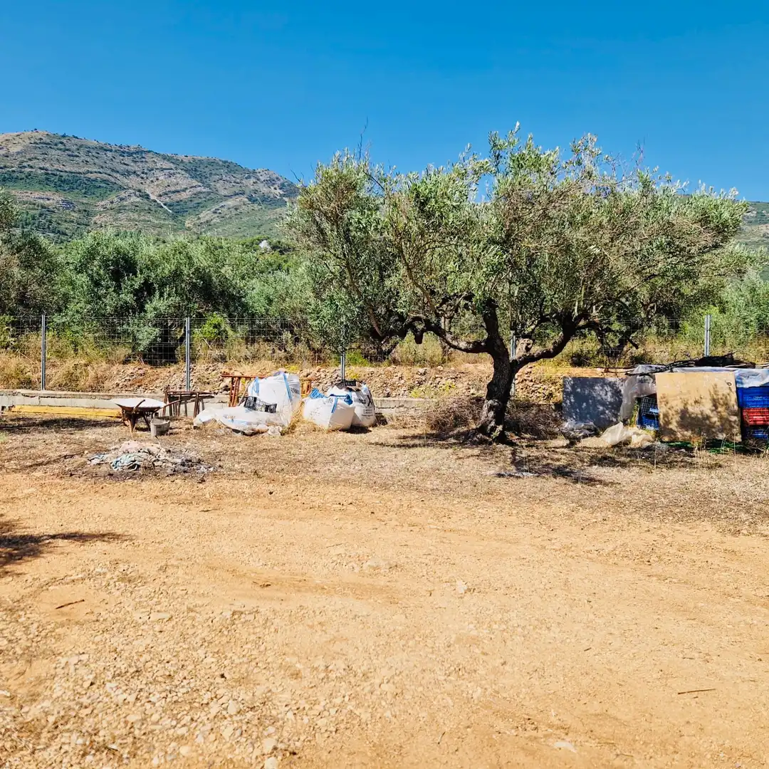 Villa avec jardin à vendre à Parcent, imagen 5