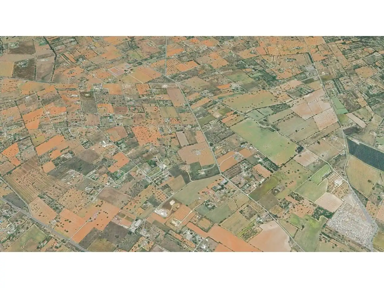 Terreny rústic en venda a Llucmajor pueblo