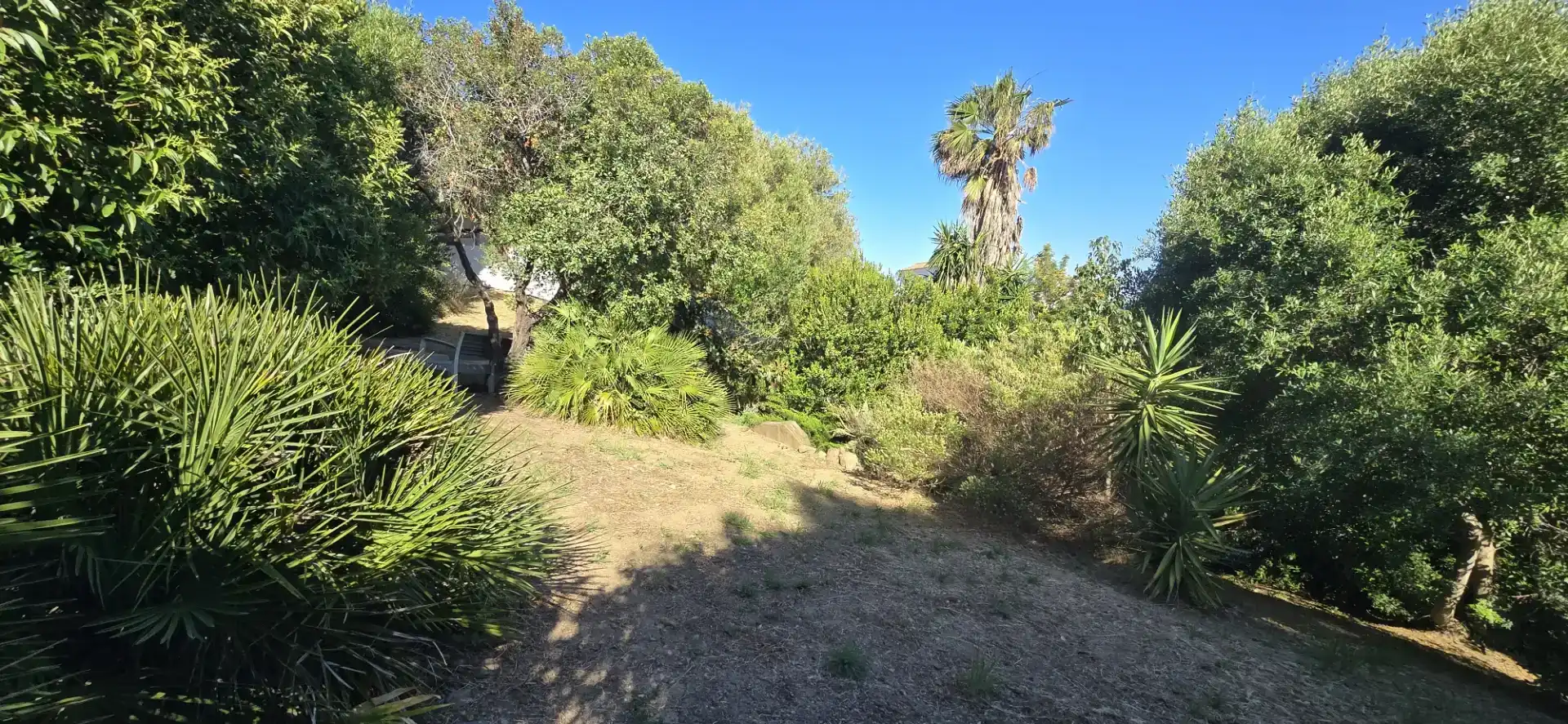 Houses for rent in San García