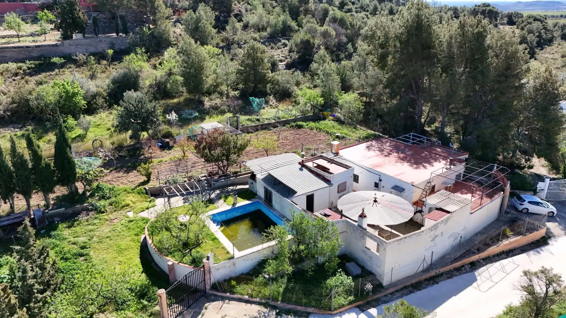 Vista exterior de Casa o xalet en venda en Casinos amb Terrassa, Traster i Piscina