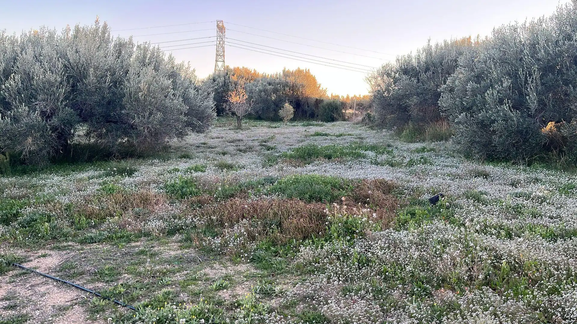 Country homes for sale in Vilabella  with Private garden