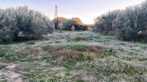 Foto 2 de Finca rústica en venda a Vilabella, Tarragona