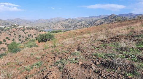 Se Vende Finca con 3 Parcelas juntas en Almogía, Málaga, imatge 4