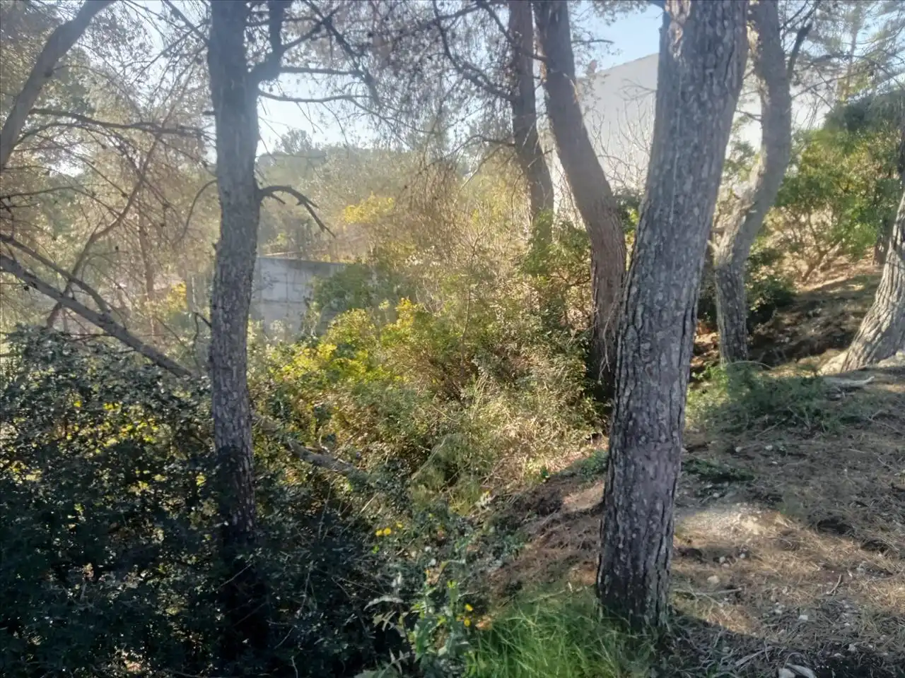 Terreny residencial en venda a Olivella