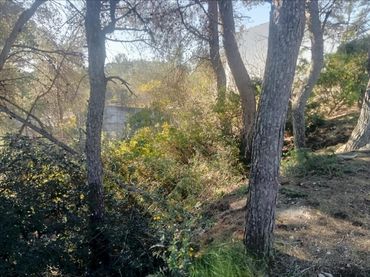 Terreno residenziale in vendita a Olivella