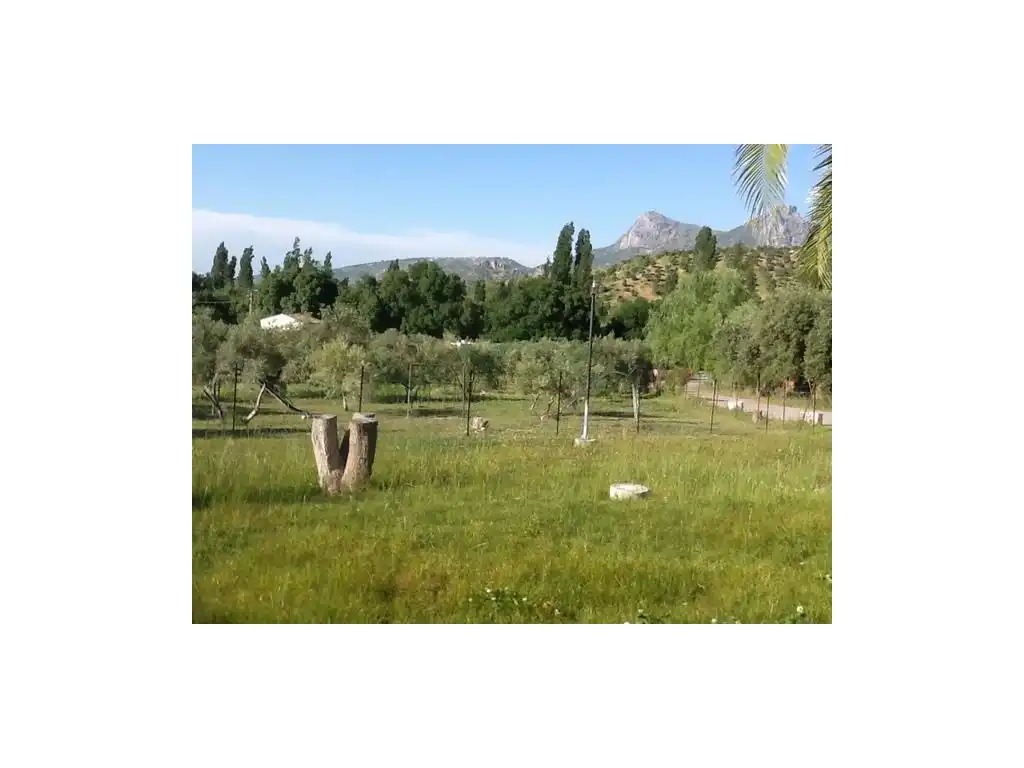 House for sale in Zahara, imagen 3