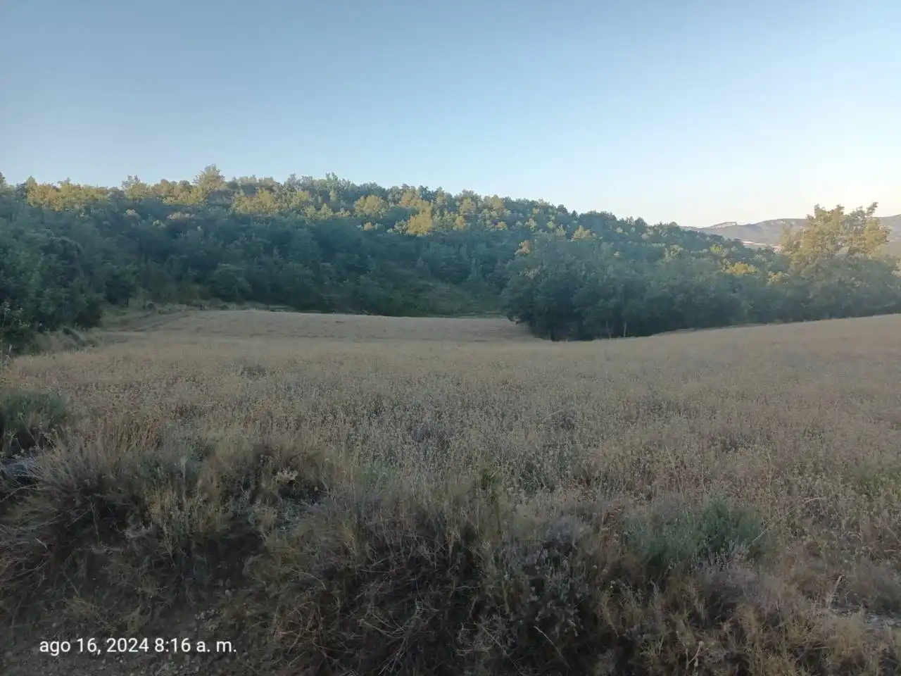 Land for sale in Isábena