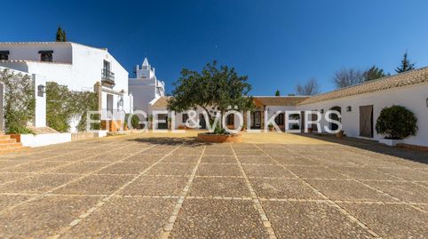 Foto 5 de Finca rústica en venta en Carmona, Sevilla