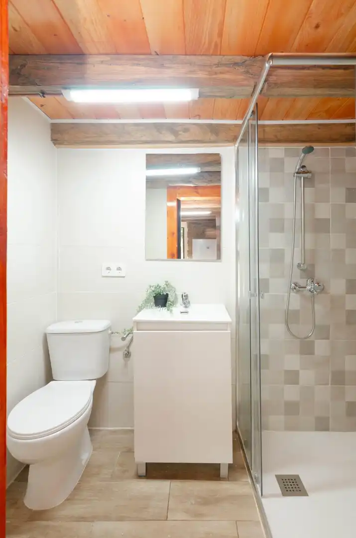 Bathroom of Houses for sale in Mieres (Asturias)  with Furnished