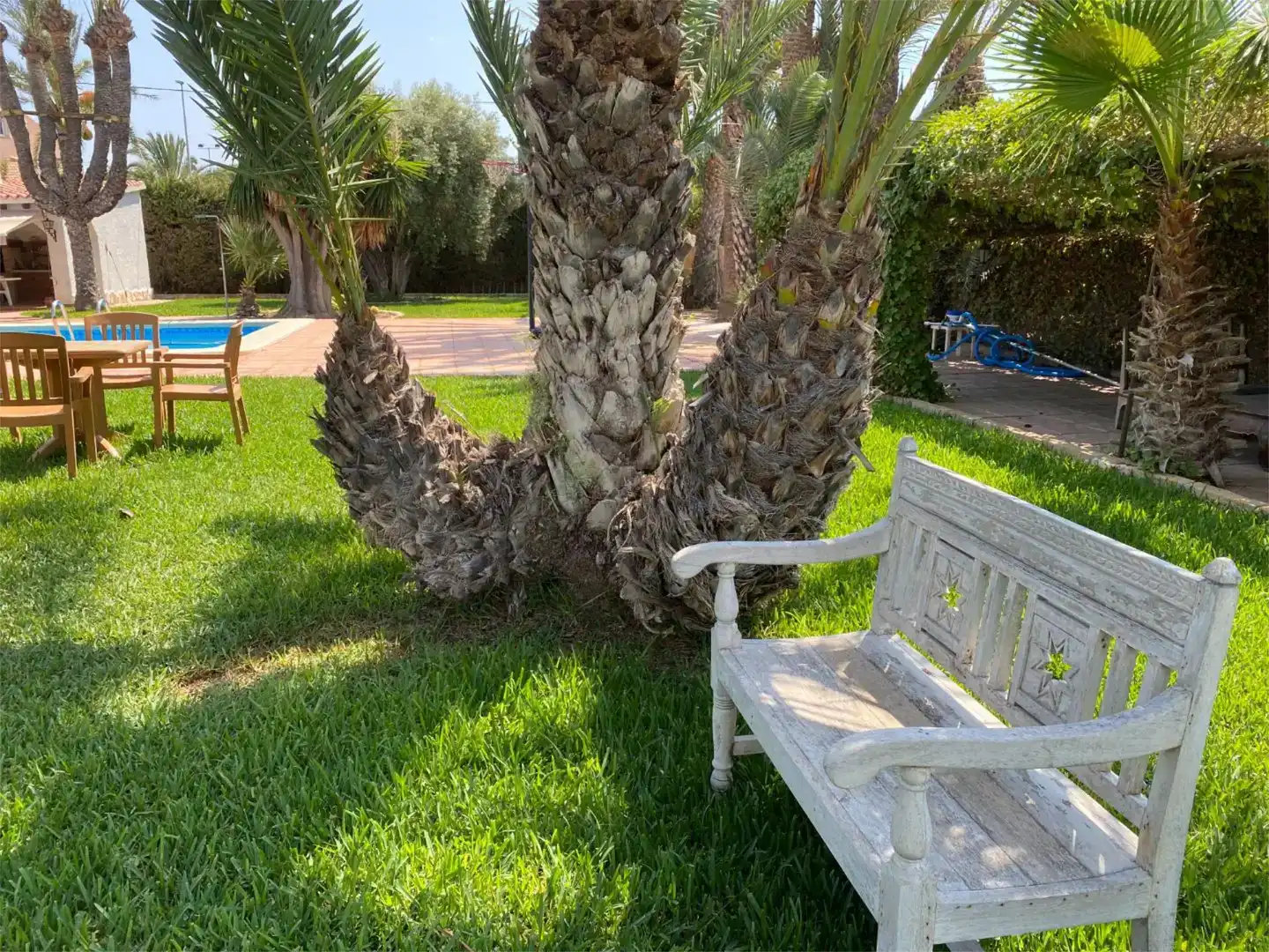 Jardí de Casa o xalet en venda en Santa Pola amb Aire condicionat i Piscina