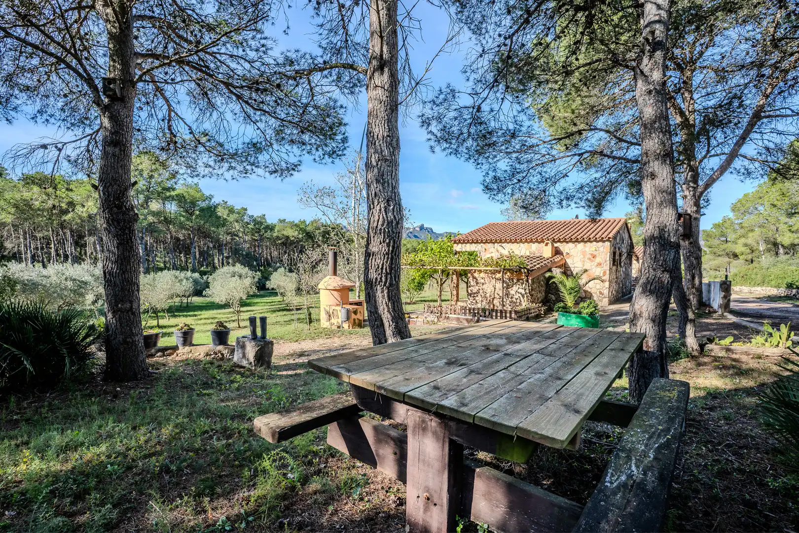 Landhaus mit Terrasse zum Verkauf in Diseminado Poligono 5, imagen 5