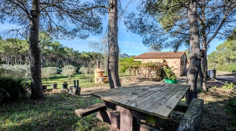 Finca rústica en venta en DS POLIGONO 5 342, El Perello, imagen 5