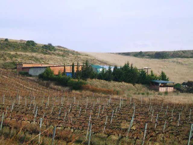 Terreno en Venta en Paraje El Gancho, 296 en Laguardia