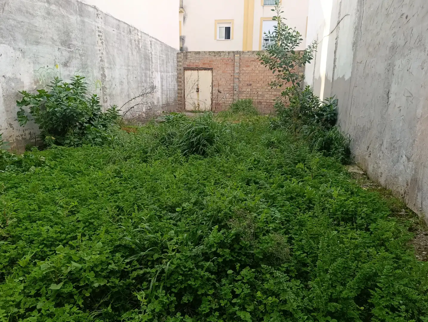Residential land for sale in Centro - Doña Mercedes, imagen 7
