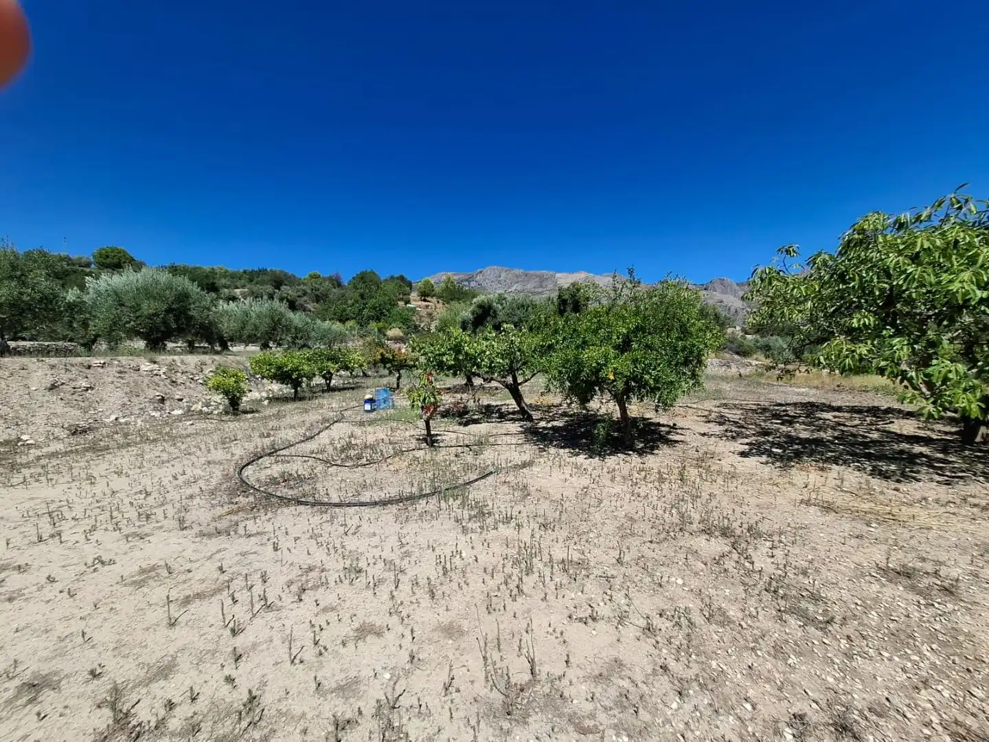 Grundstücke zum Verkauf in Beniardà