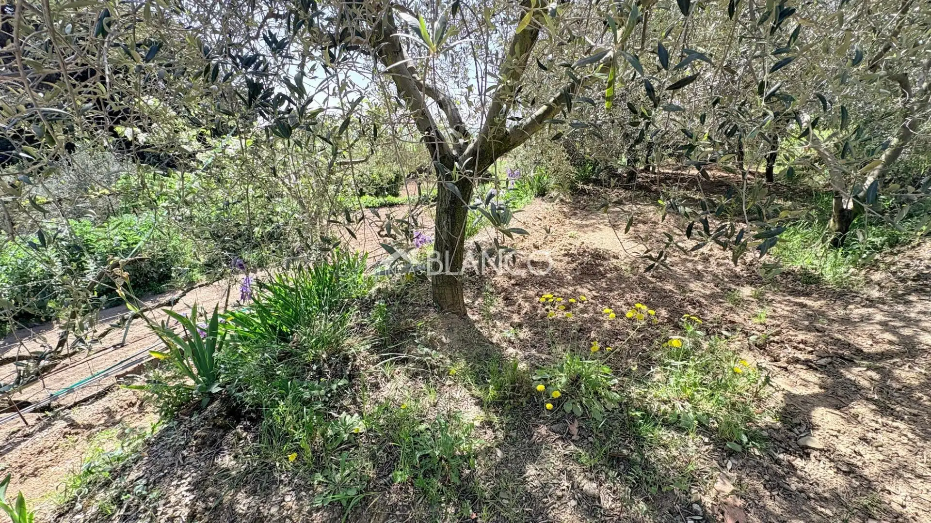 Casa o xalet en venda en Piera amb Jardí privat