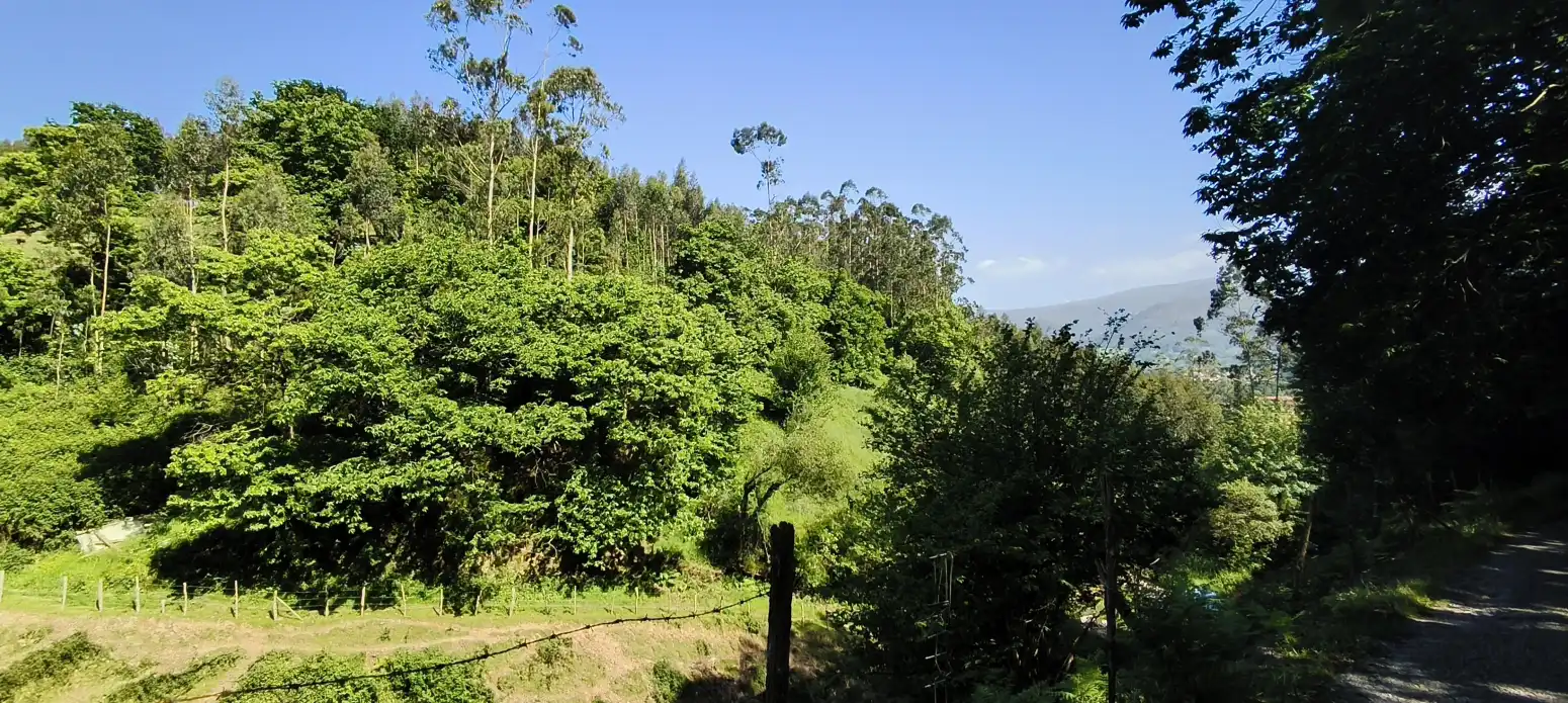 Casa amb jardí en venda a Cabezón de la Sal - Las Tueras, imagen 11