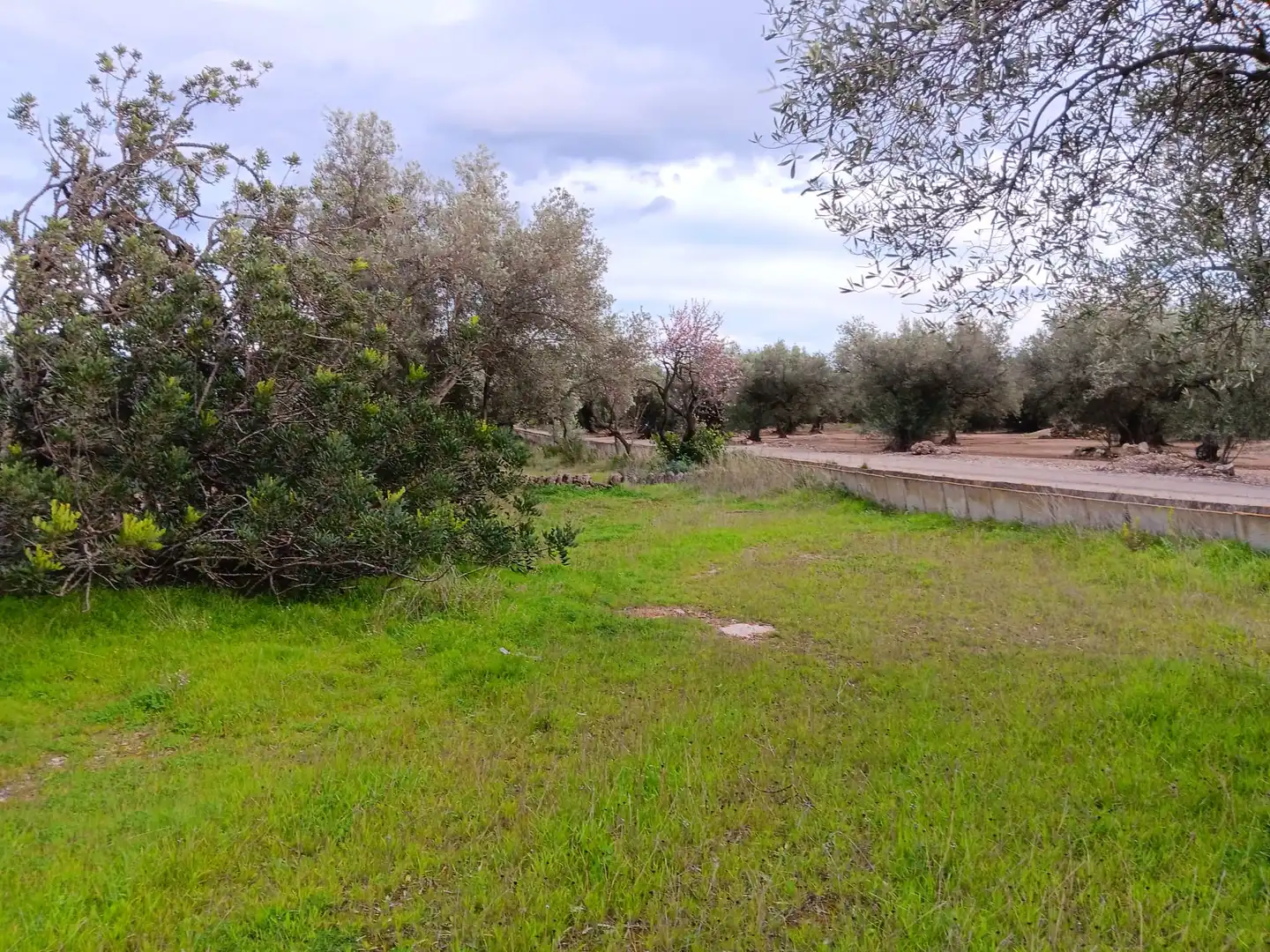 Casa o chalet en venta en Tortosa