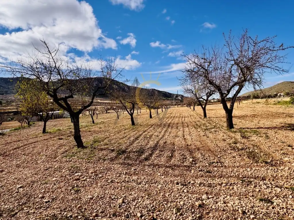Villa zum Verkauf in Partida Umbria Alta De Algayat, imagen 12