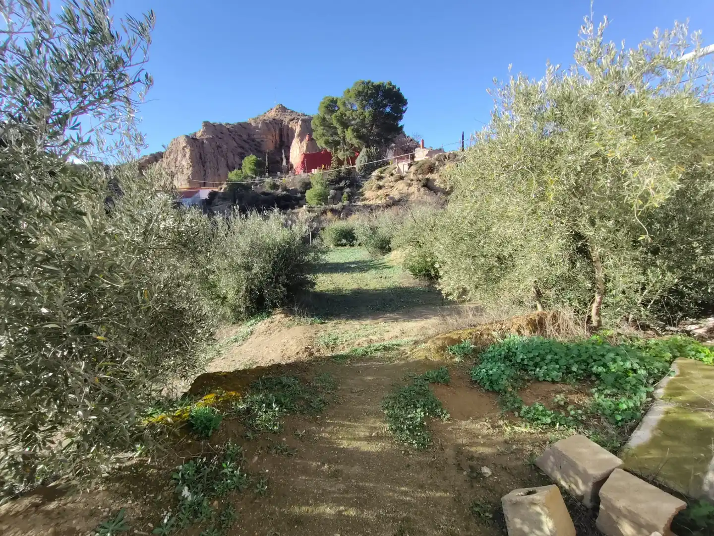 Garten von Grundstücke zum Verkauf in Guadix