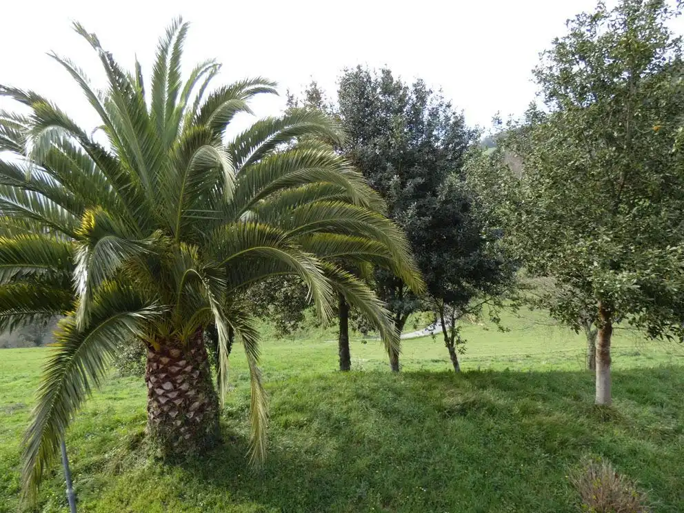 Casa amb jardí en venda a Valdés - Luarca, imagen 5