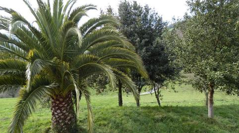 Foto 5 de Casa o chalet en venta en Valdés - Luarca, Asturias