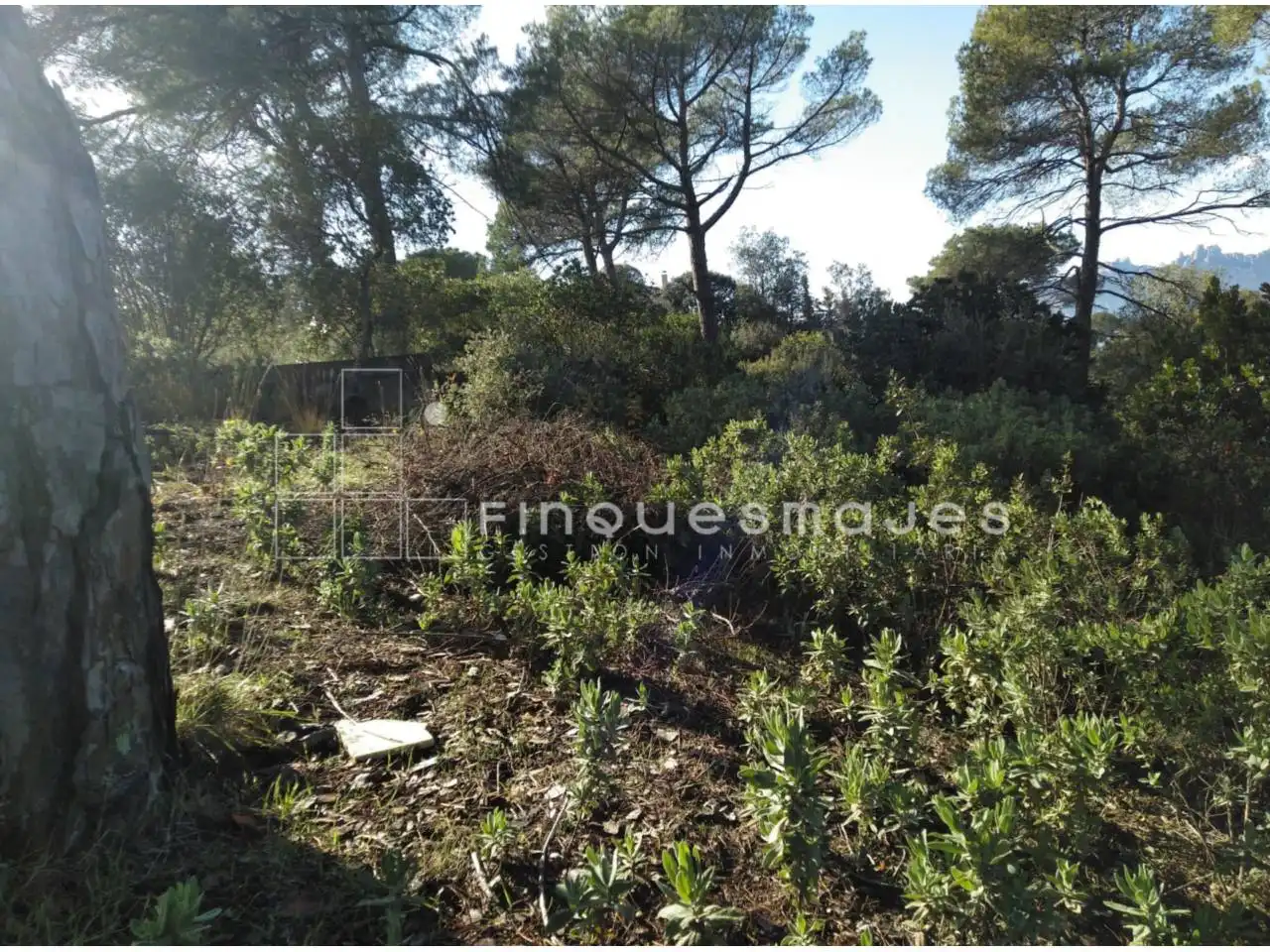 Terreno residencial en venta en Vacarisses, imagen 9