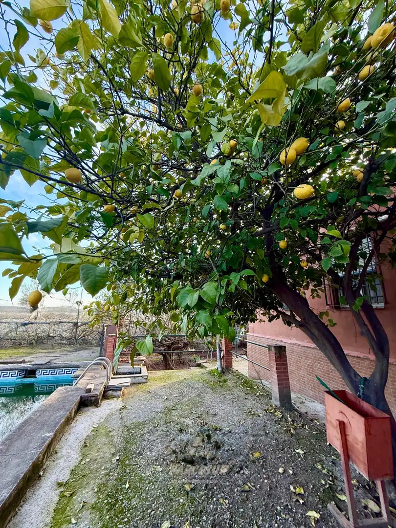 Casa con piscina en venta en Periurbano Este - Campiña, imagen 21