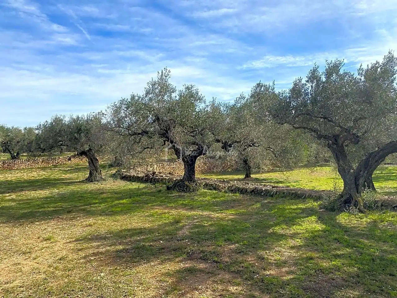Terreno rustico in vendita a Planas