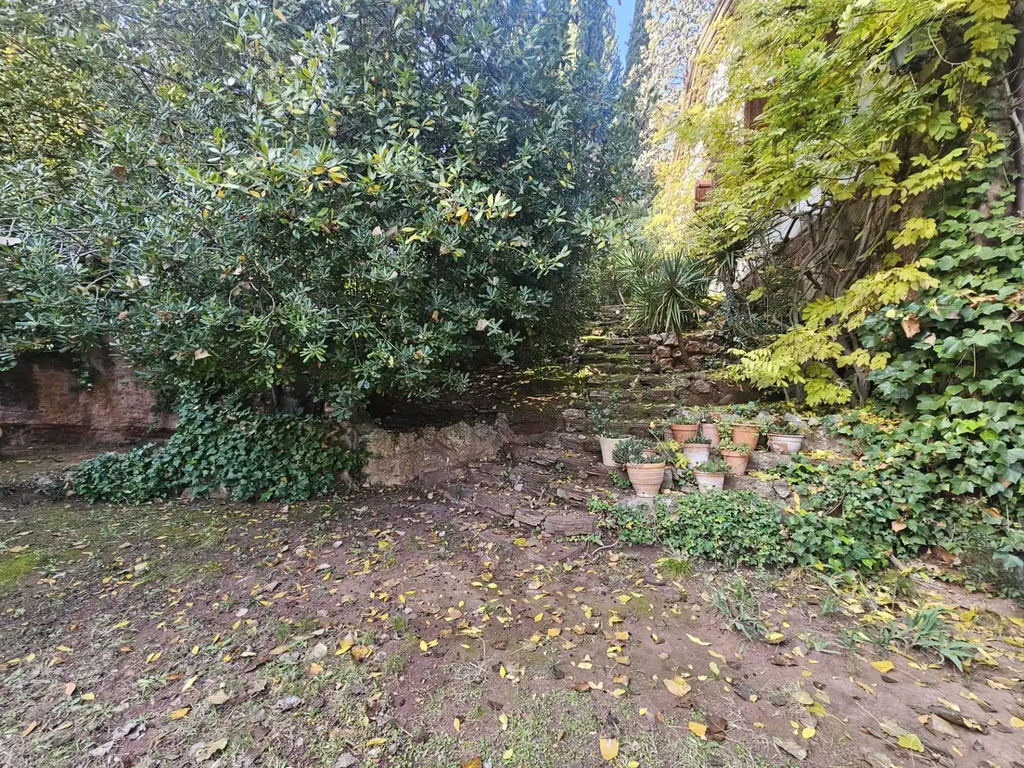 Jardín de Finca rústica en venta en Castellví de Rosanes