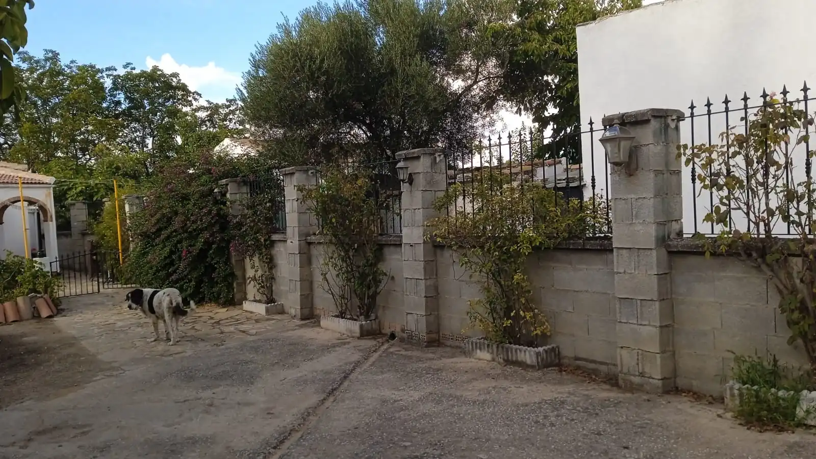 Vista exterior de Casa o chalet en venta en Jamilena con Aire acondicionado, Piscina y Amueblado