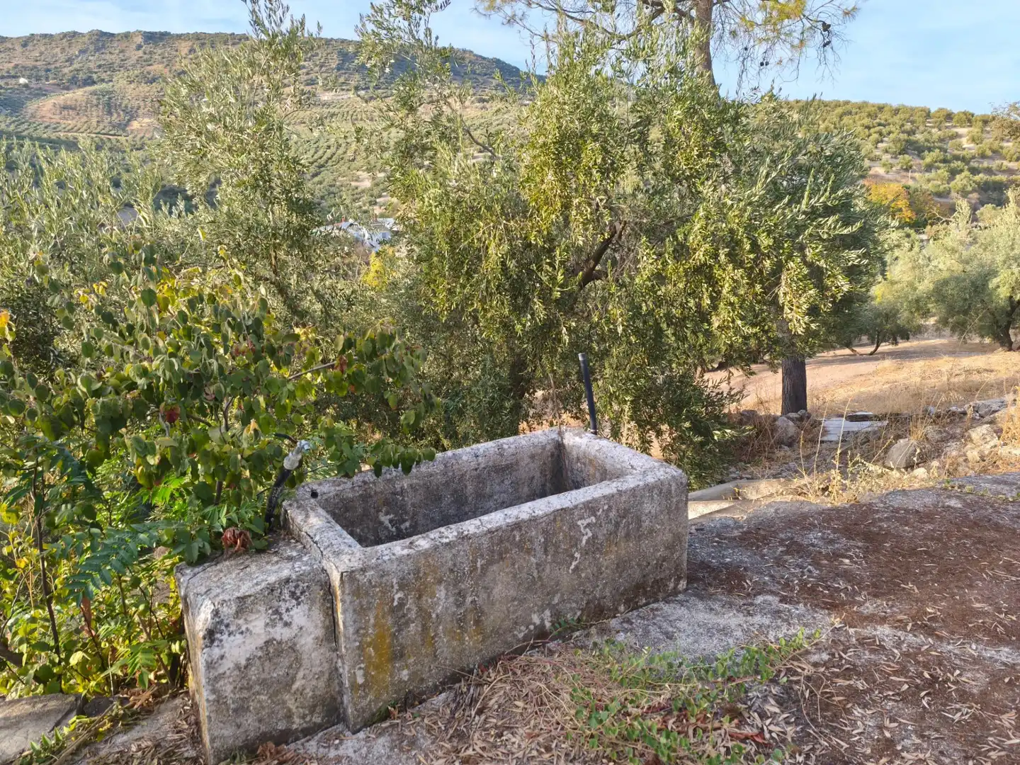 Jardín de Finca rústica en venta en Iznájar