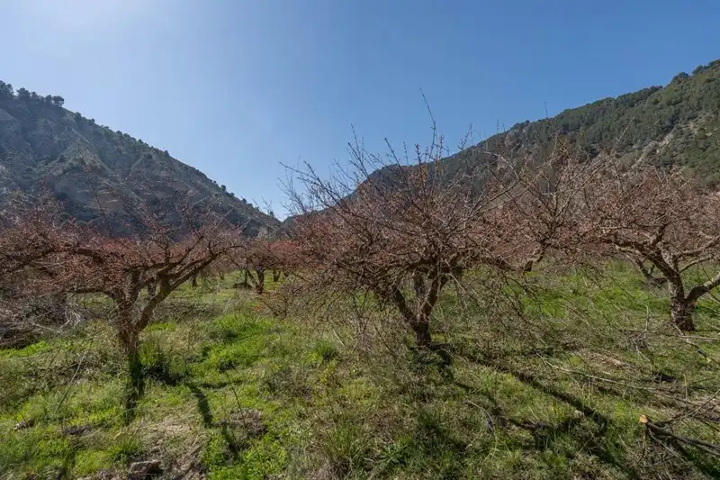 Terreni e lotti in vendita a Villamena, imagen 9