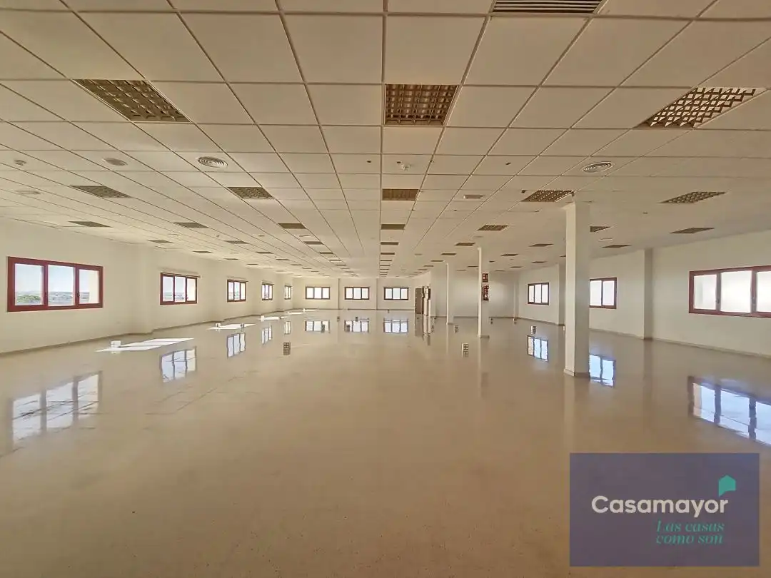 Oficina de lloguer a Avinguda d'Elx, Agua Amarga - Urbanova