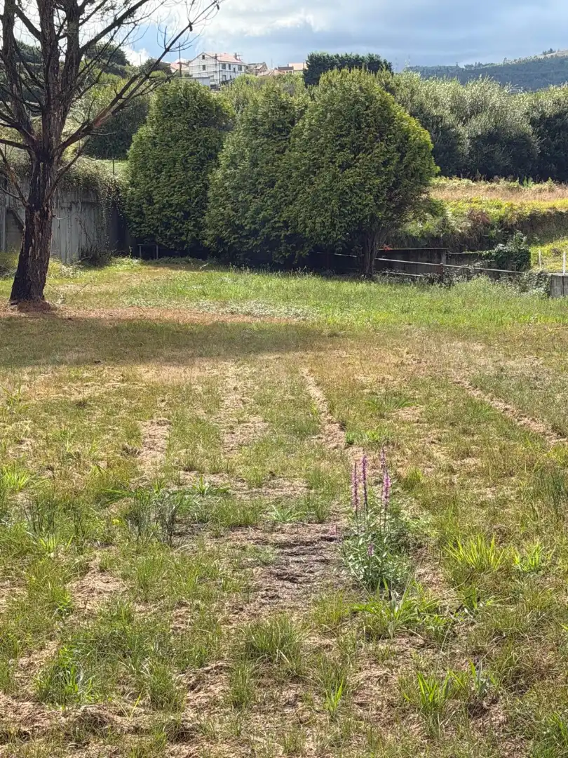 Rural land for sale in La Iglesia, imagen 29