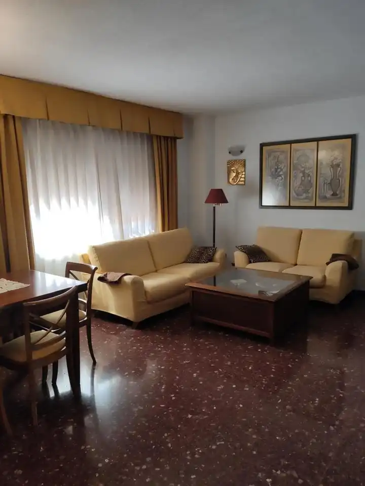 Sala d'estar de Pis de lloguer en Valencia amb Aire condicionat, Calefacció i Moblat