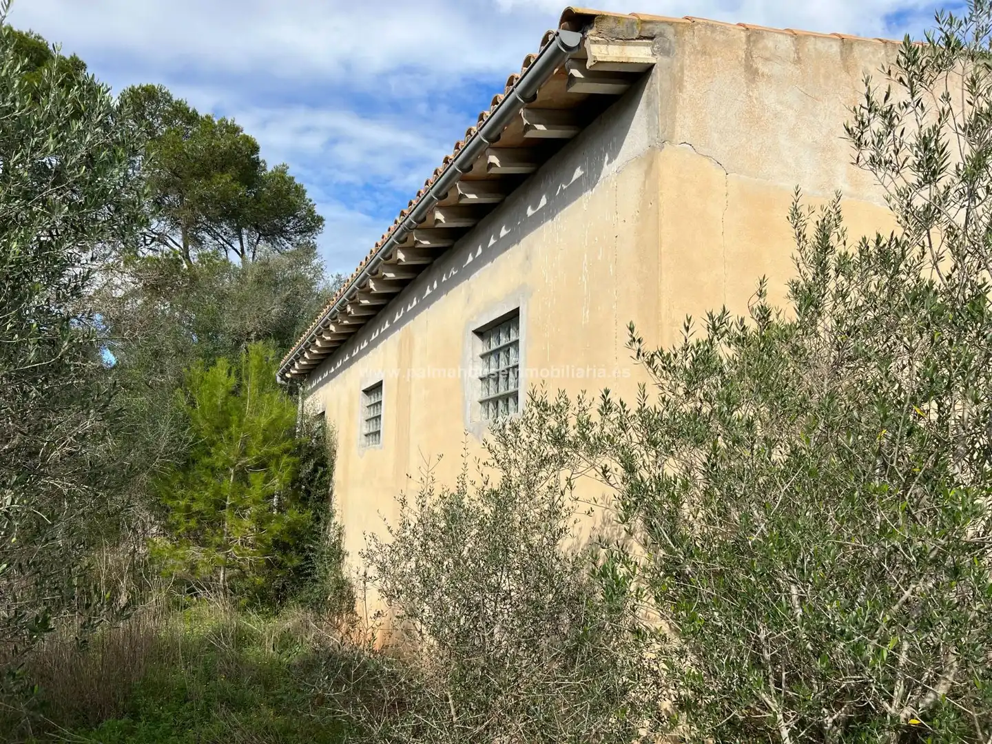Vista exterior de Residencial en venta en Algaida