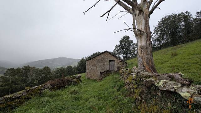 Finca rústica en Venta en BUSTALEGUIN en San Pedro del Romeral